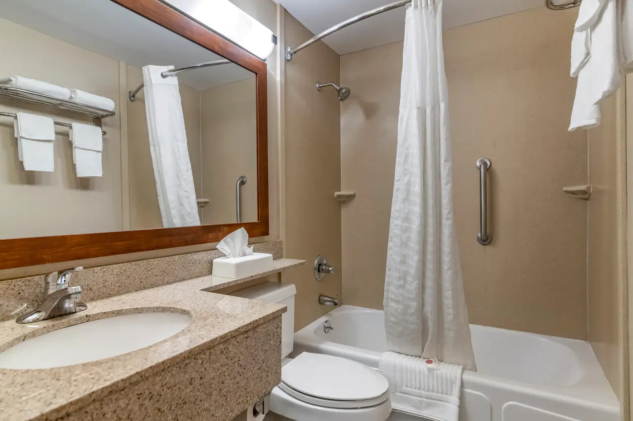 Modern Guest Bathroom